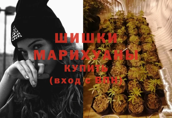 стафф Кодинск