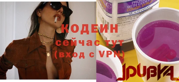стафф Кодинск