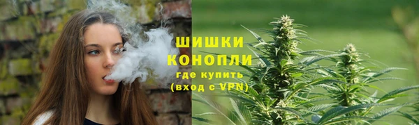 стафф Кодинск