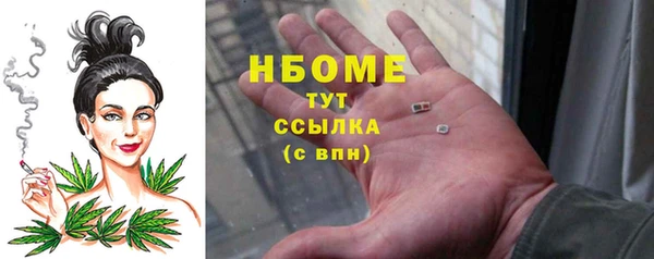 стафф Кодинск