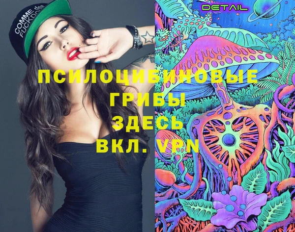 а пвп мука Козельск