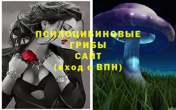 стафф Кодинск