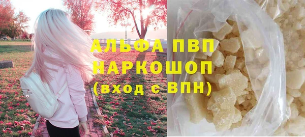 стафф Кодинск