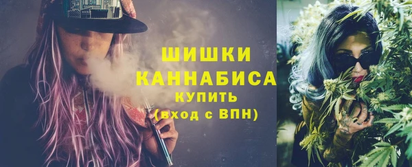 стафф Кодинск