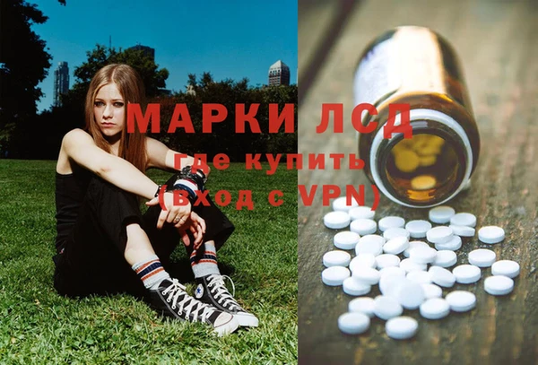 стафф Кодинск