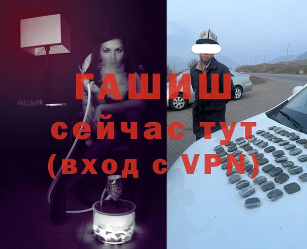 стафф Кодинск