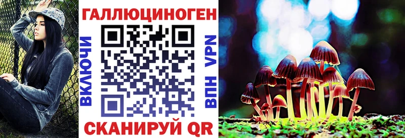 Купить закладки  Электросталь  Галлюциногенные грибы MAGIC MUSHROOMS 